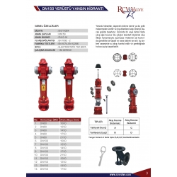 DN150 YERÜSTÜ YANGIN HİDRANTI 