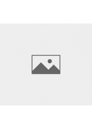 Catalog (EN) görseli